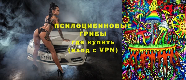 ГАЛЛЮЦИНОГЕННЫЕ ГРИБЫ Алексеевка
