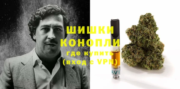 ГАЛЛЮЦИНОГЕННЫЕ ГРИБЫ Алексеевка