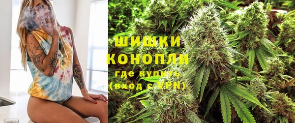 ГАЛЛЮЦИНОГЕННЫЕ ГРИБЫ Алексеевка