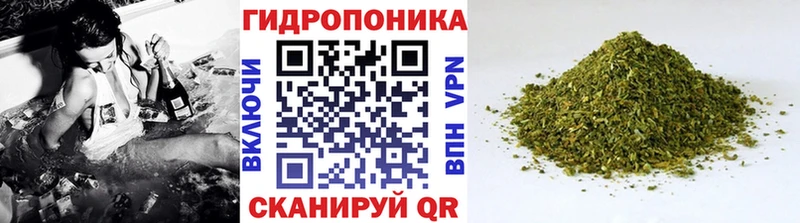 Канабис планчик сайты даркнета состав Микунь